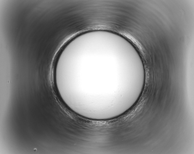 X0000093760886200710160833