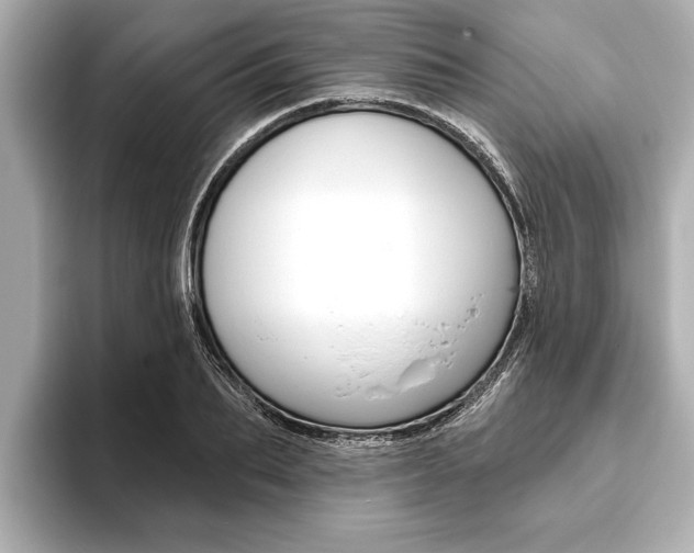 X0000093760887200710160833