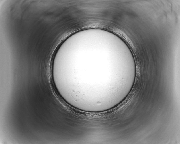 X0000093760890200710160833