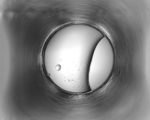 X0000093760891200710160833