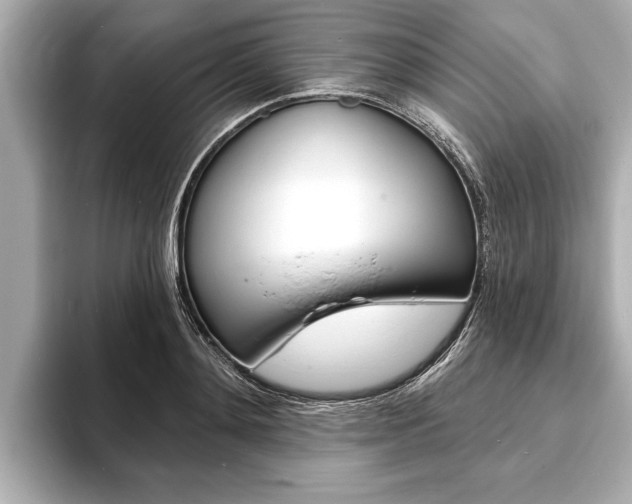 X0000093760892200710160833
