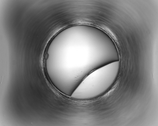 X0000093760893200710160833