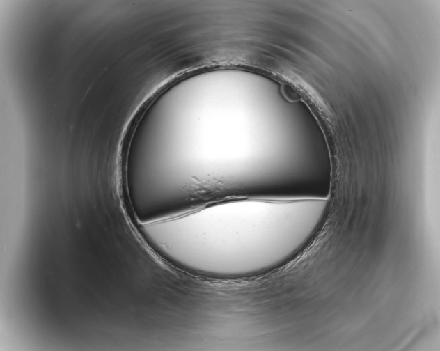 X0000093760894200710160833