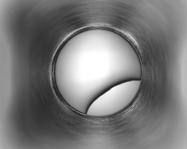 X0000093760895200710160833