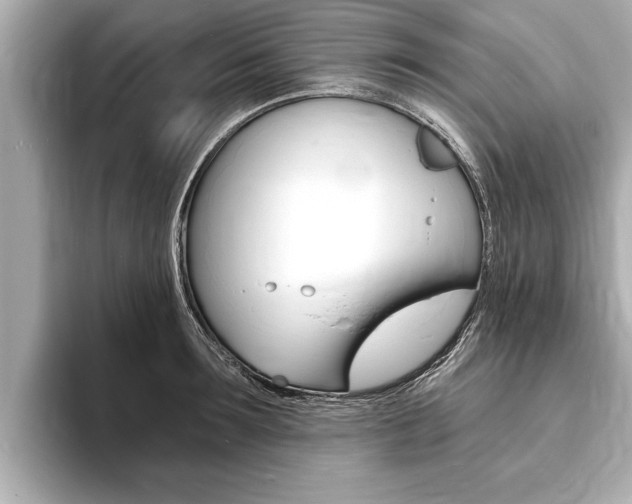 X0000093760899200710160833