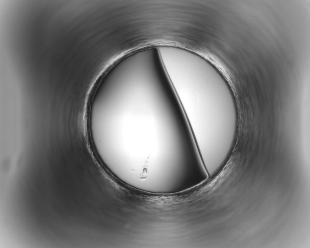 X0000093760902200710160833