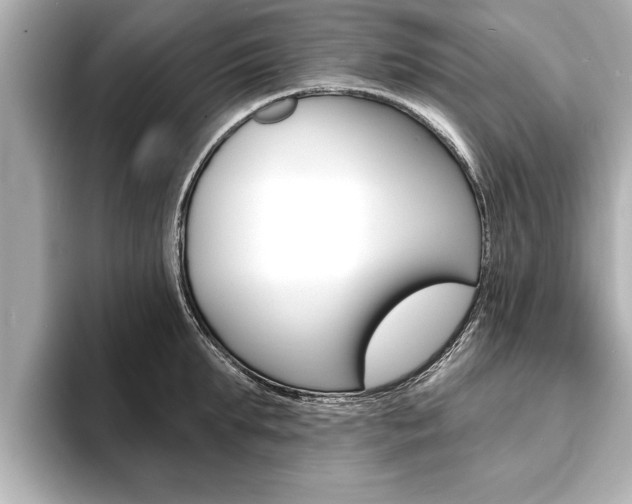 X0000093760903200710160833