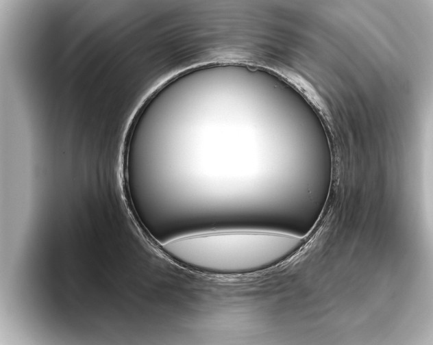 X0000093760904200710160833
