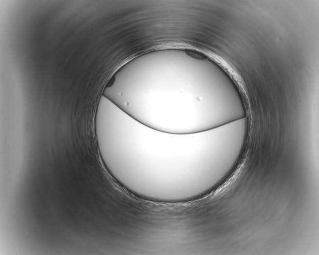X0000093760905200710160833