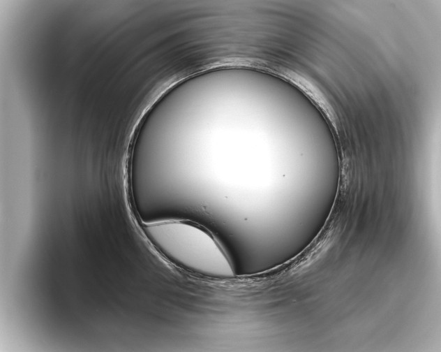 X0000093760906200710160833