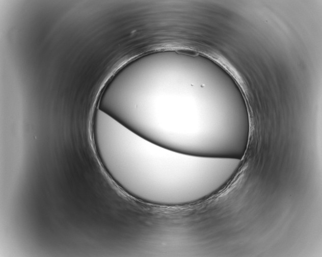 X0000093760909200710160833