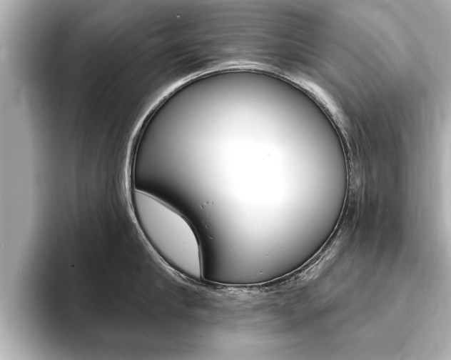 X0000093760910200710160833