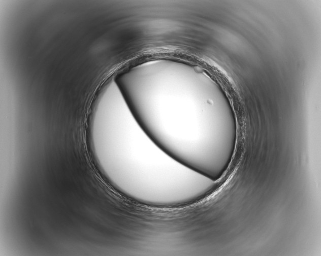X0000093760921200710160832