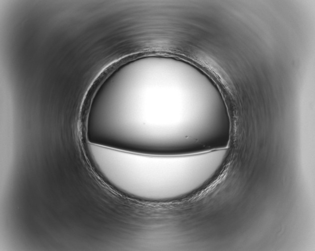 X0000093760924200710160832