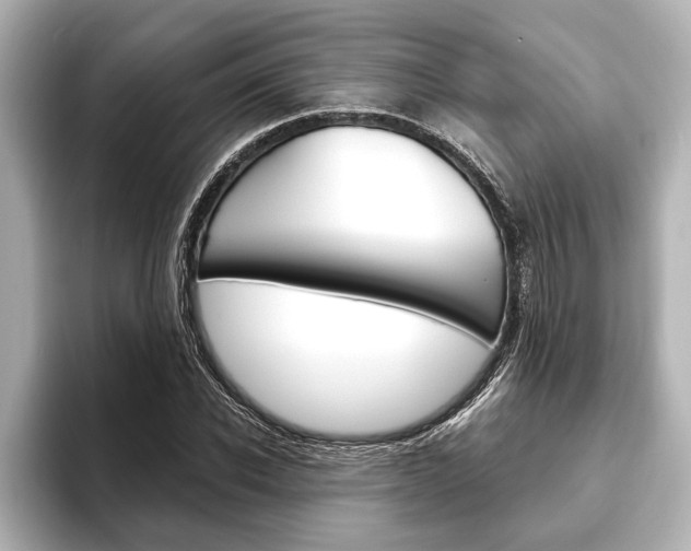 X0000093760926200710160832