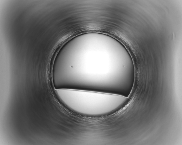 X0000093760930200710160832