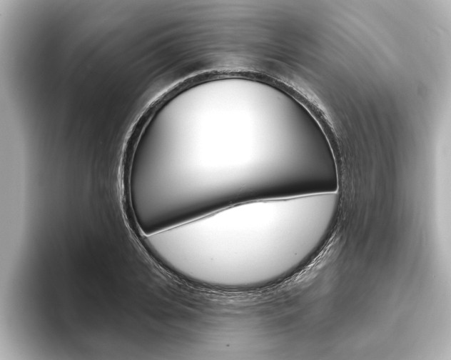 X0000093760935200710160832
