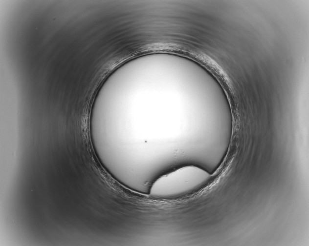 X0000093760937200710160833