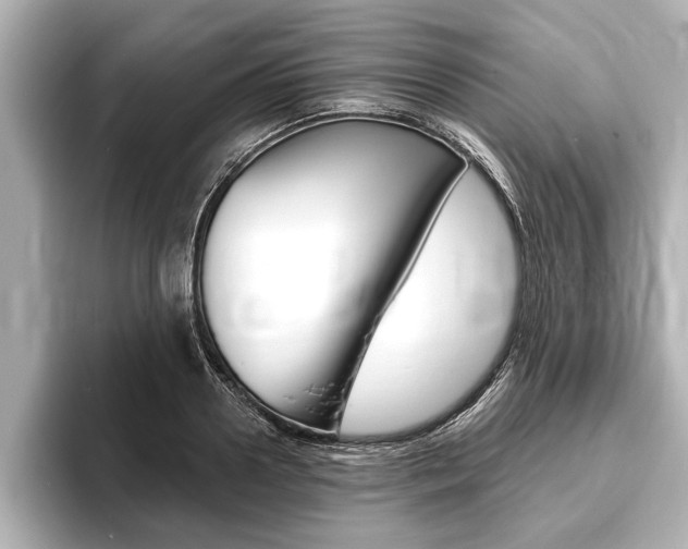 X0000093760938200710160833