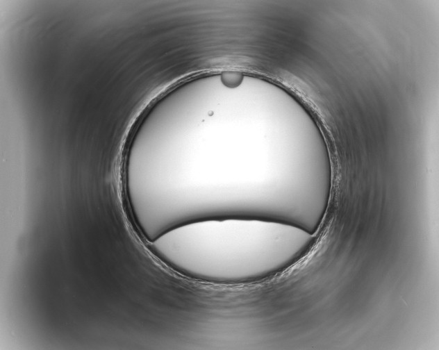 X0000093760941200710160833