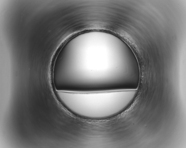 X0000093760942200710160833
