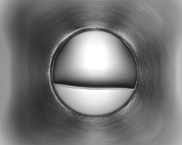 X0000093760943200710160833