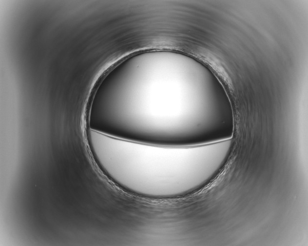 X0000093760944200710160833
