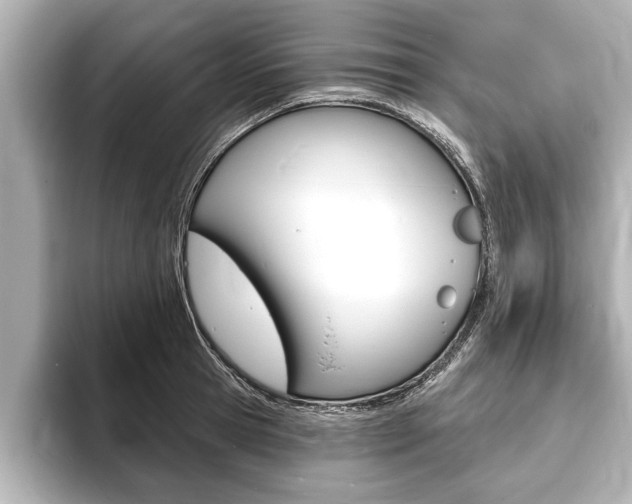 X0000093760945200710160833