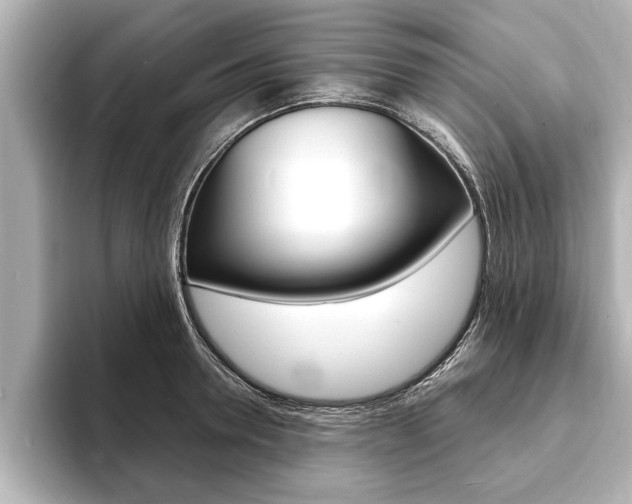 X0000093760946200710160833