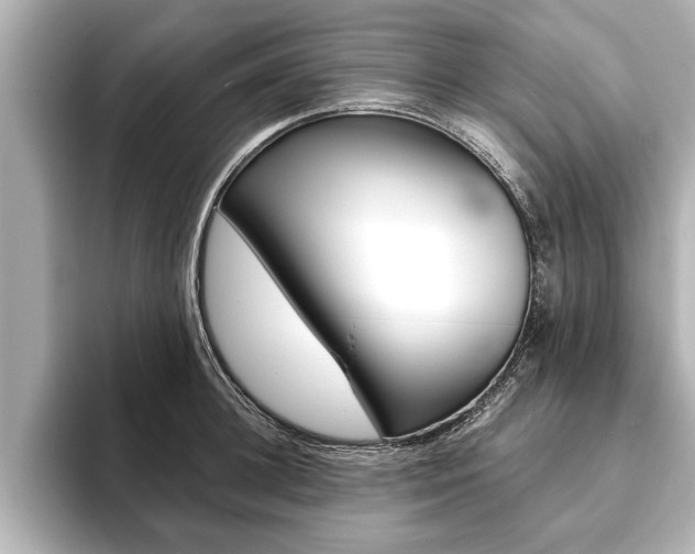 X0000093760948200710160833