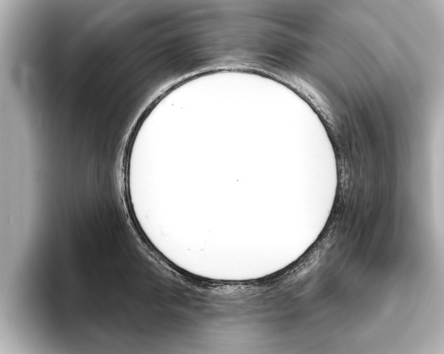 X0000093760950200710160833
