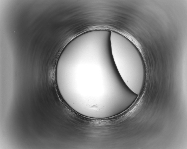 X0000093760953200710160833