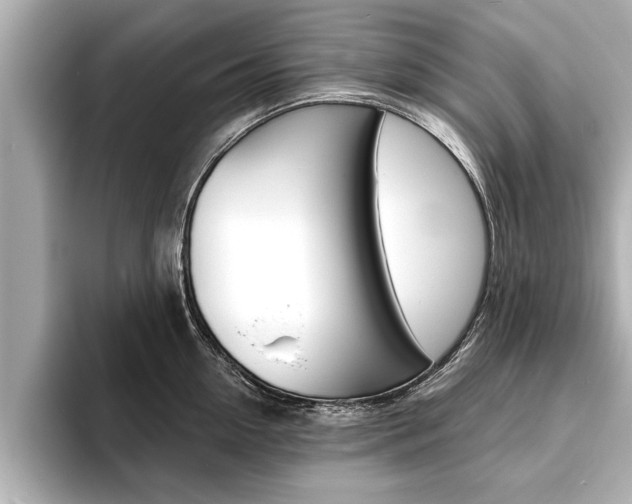 X0000093760954200710160833