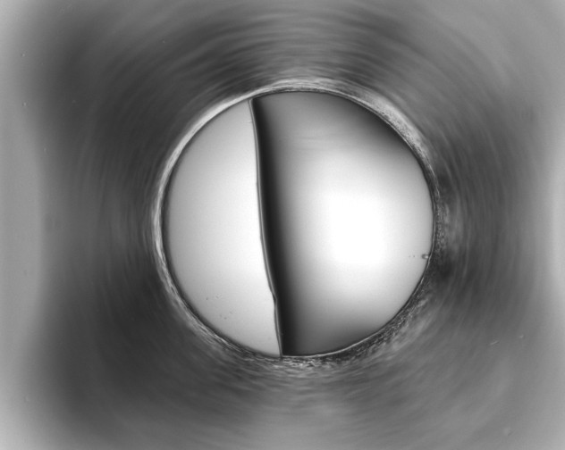 X0000093760955200710160833