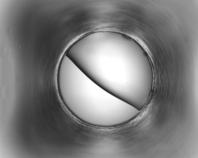 X0000093760957200710160833