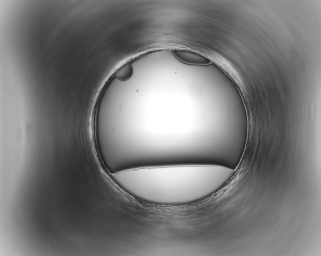 X0000093760958200710160833