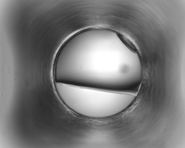 X0000093760959200710160833
