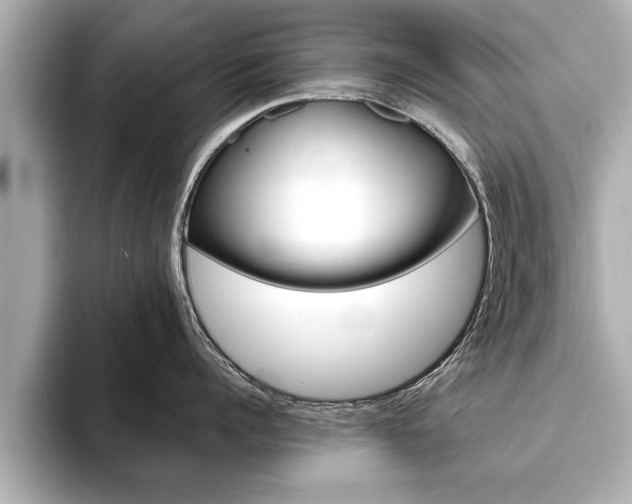 X0000093760960200710160833
