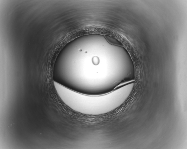 X0000093760965200710160832