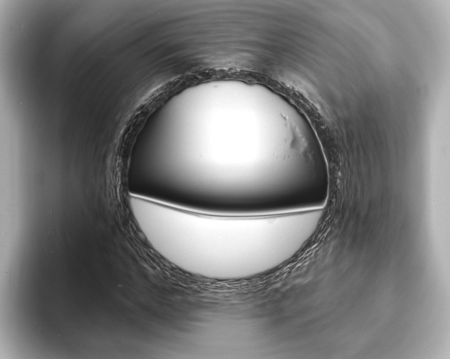 X0000093760968200710160832