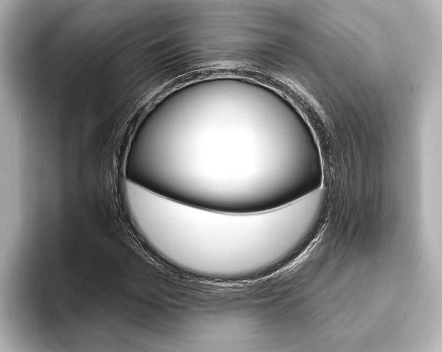 X0000093760969200710160832