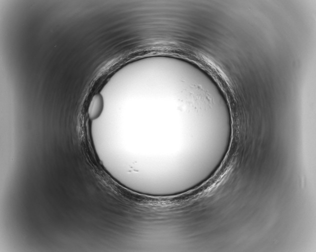 X0000093760970200710160832