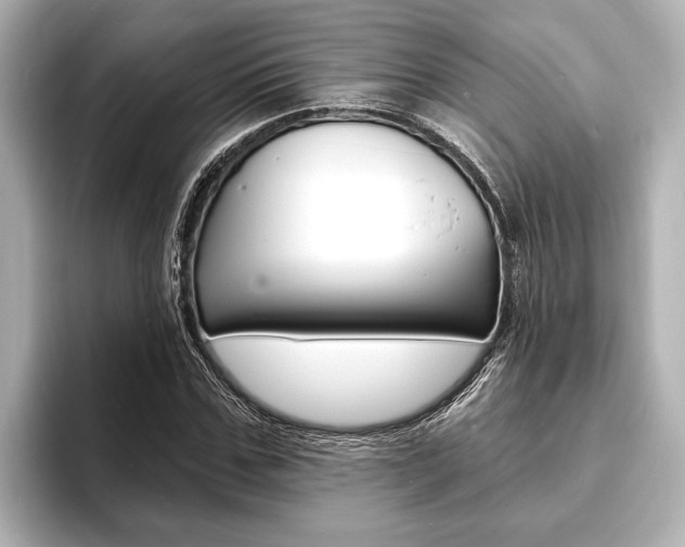 X0000093760971200710160832
