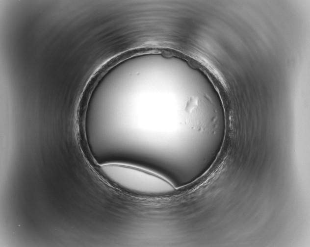X0000093760972200710160832