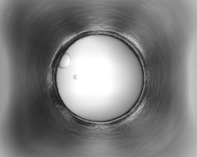 X0000093760974200710160832