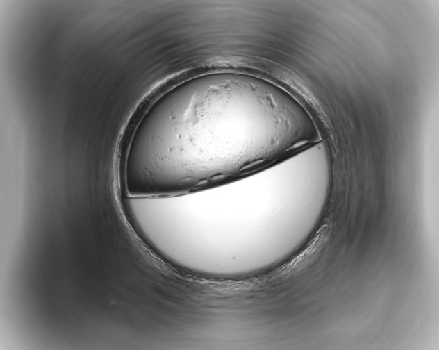 X0000093760984200710160832