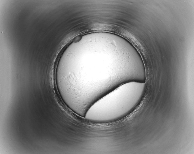 X0000093760986200710160832