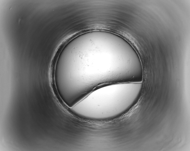 X0000093760987200710160832