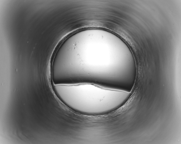 X0000093760988200710160832