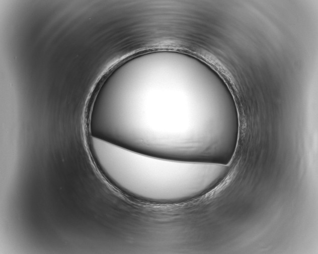 X0000093760989200710160832